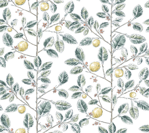 RT7914 Limoncello Toile Forest Wallpaper