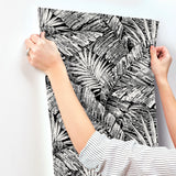 RT7921 Palm Cove Toile White Black Wallpaper