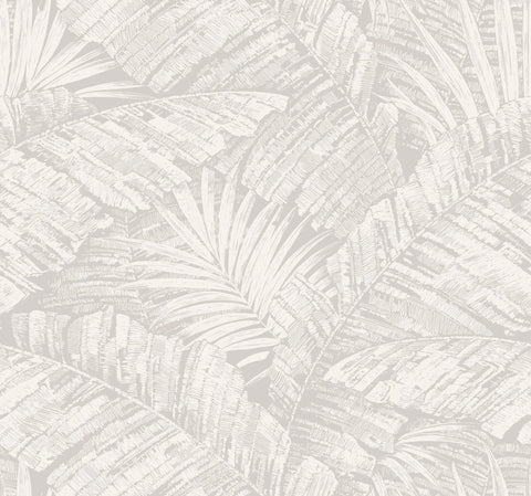RT7922 Palm Cove Toile White Gray Wallpaper