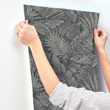 RT7923 Palm Cove Toile Silver Black Wallpaper