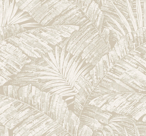 RT7926 Palm Cove Toile White Taupe Wallpaper