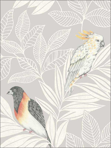 RY30100 Paradise Island Birds Daydream Gray Ivory Wallpaper