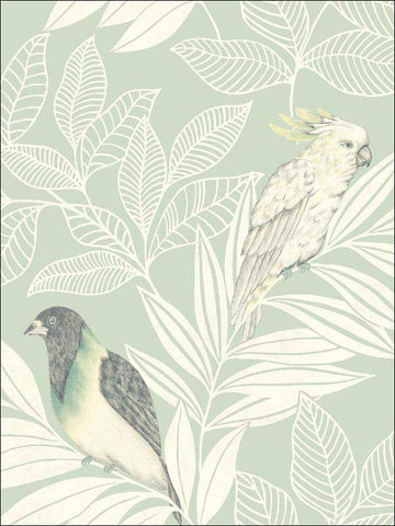 RY30104 Paradise Island Birds Mint Ivory Wallpaper