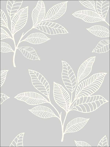 RY30800 Paradise Leaves Daydream Gray Wallpaper