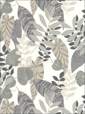 RY30908 Tropicana Leaves Charcoal Stone Daydream Gray Wallpaper