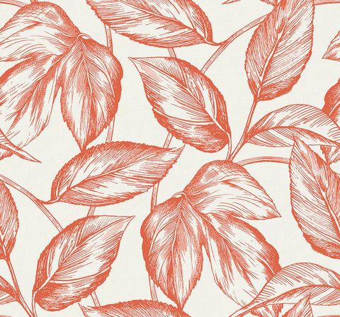 SC20001 Red Beckett Sketched Leaves Wallpaper