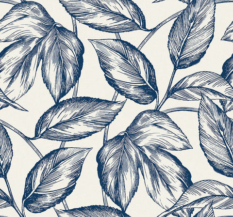 SC20002 Blue Beckett Sketched Leaves Wallpaper