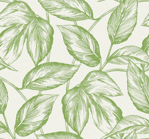 SC20004 Green Beckett Sketched Leaves Wallpaper