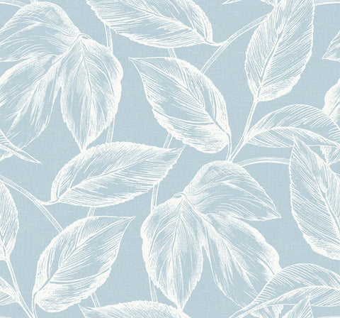 SC20022 Blue Beckett Sketched Leaves Wallpaper