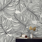 SC20200 Black White Tarra Monstera Large Leaf Wallpaper