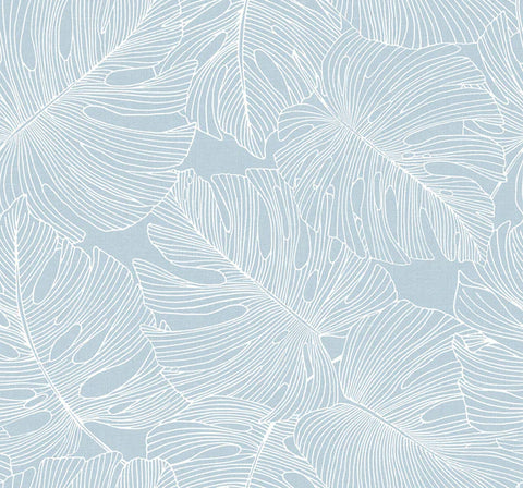 SC20202 Sky Blue Tarra Monstera Large Leaf Wallpaper