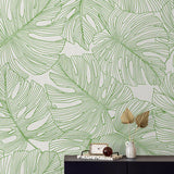 SC20204 Green Tarra Monstera Large Leaf Wallpaper