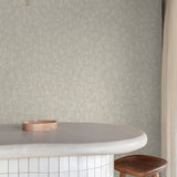 SF1001 Wood plain Beige Wallpaper