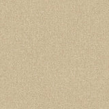 SF1106 Stone plain Beige Wallpaper