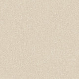 SF1113 Stone plain Beige Wallpaper