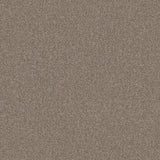 SF1119 Stone plain Brown Wallpaper