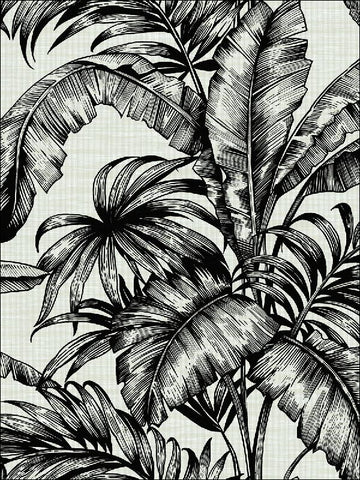 SG41400 Tropical Leaves Wallpaper