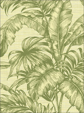 SG41404 Tropical Leaves Wallpaper