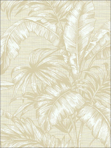 SG41405 Tropical Leaves Wallpaper