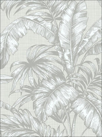 SG41408 Tropical Leaves Wallpaper