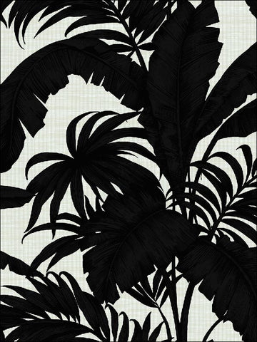 SG41410 Tropical Leaves Wallpaper