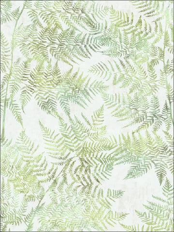 SG41604 Fern Leaf Wallpaper