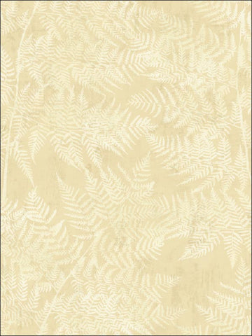 SG41605 Fern Leaf Wallpaper