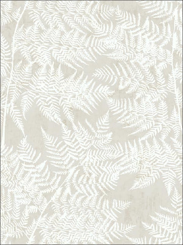 SG41608 Fern Leaf Wallpaper