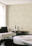  SI50611 Della Palm Shell Wallpaper