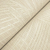  SI50611 Della Palm Shell Wallpaper