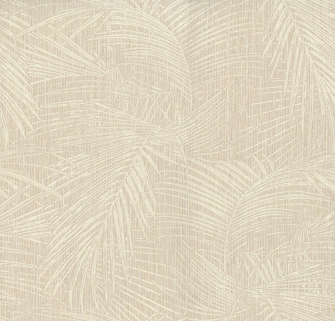  SI50611 Della Palm Shell Wallpaper