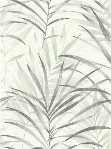 SL11304 Tropical Leaves Wallpaper