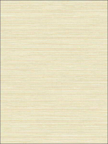 SL11605 Subtle Grasscloth Wallpaper