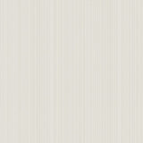 SP-NA6001 Vertical Stripe Boutique Wallpaper