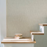 SP-SC5003 Tonal Plain Boutique Wallpaper