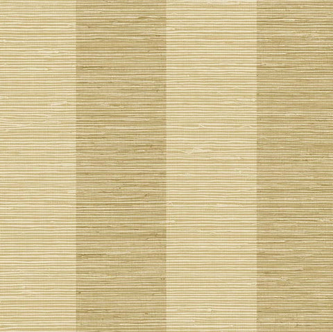 SR22115 Hudson Honey Wallpaper