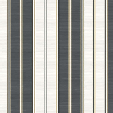 SR22300 Caspian Cloudy Wallpaper