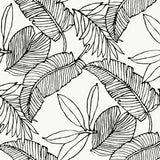 SY20210 Tropical Breeze Wallpaper 