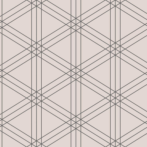 SY20901 Ray Geometrics Pink Wallpaper