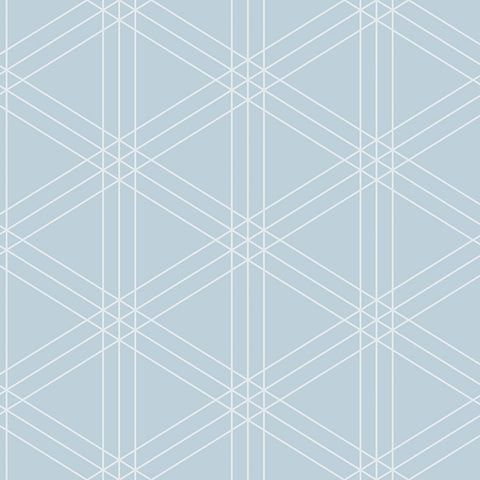 SY20902 Ray Geometrics Blue Wallpaper