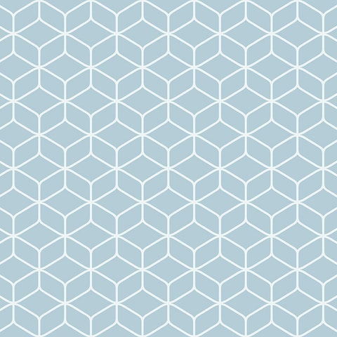 SY21122 NYC Wallpaper 