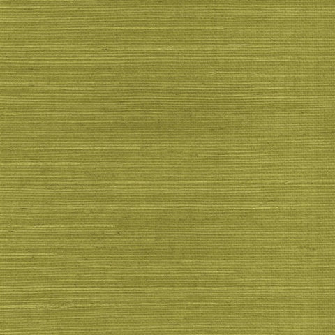 SY21834 Olive Green Natural Grasscloth Wallpaper