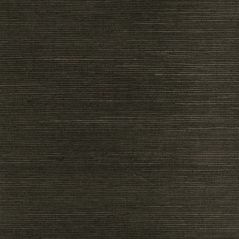 SY21896 Sisal Browns Taupes Wallpaper