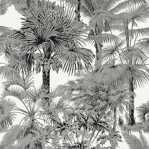 T10102 Palm Botanical Black Wallpaper