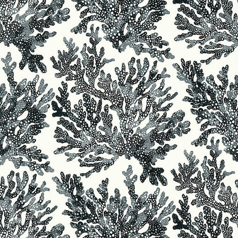 T10123 Marine Coral Black Wallpaper