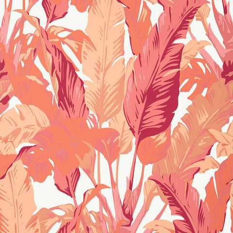 T10130 Travelers Palm Pink and Coral Wallpaper