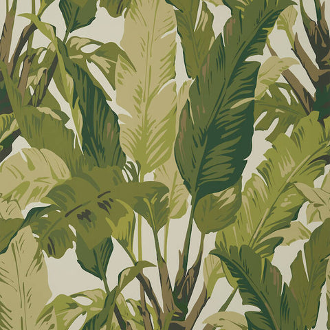 T10131 Travelers Palm Sage Wallpaper