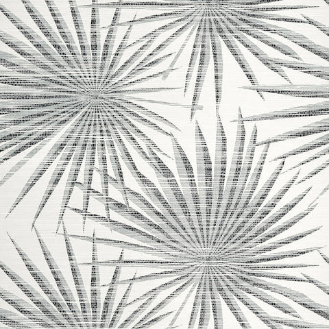 T10145 Palm Frond Black and White Wallpaper