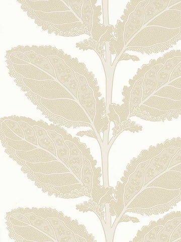 T12041 Lacinato Birch Wallpaper