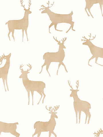 T12065 Bucks Birch Wallpaper